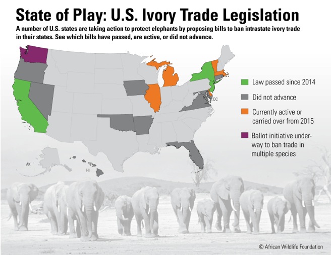 A Near Total Ban On Ivory Sales In The US
